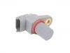 Sensor, posición arbol de levas Camshaft Sensor:13 62 7 834 490